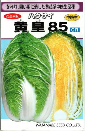 【 黄皇85 】 白菜 種 白菜の種 種子 ハクサイ 渡辺採種場 松島交配
