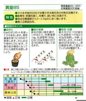 【 黄皇85 】 白菜 種 白菜の種 種子 ハクサイ 渡辺採種場 松島交配
