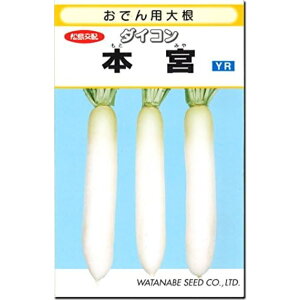 【 本宮 】 大根 種 大根の種 種子 ダイコン おでん おでん用大根 渡辺採種場 松島交配