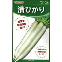 【 漬ひかり 】 大根 種 大根の種 種子 白首大根 漬物 カネコ種苗