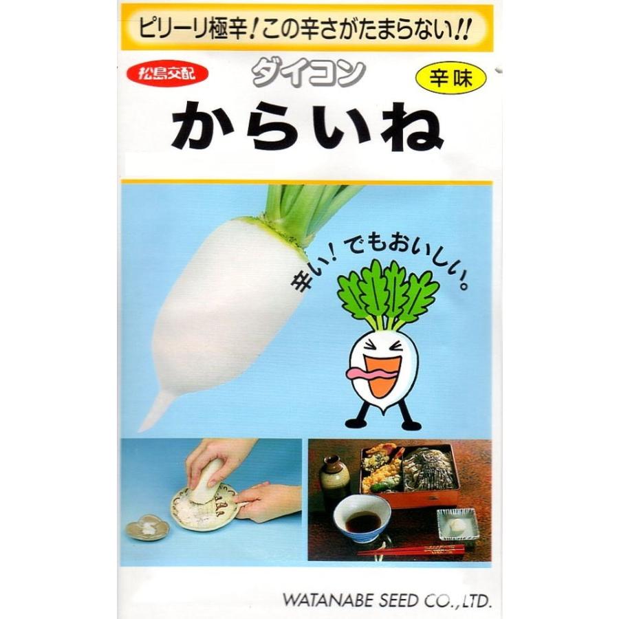 【 からいね 】 大根 種 大根の種 種子 ダイコン 辛味大根 大根おろし 渡辺採種場 松島交配 5.4ml 約20..
