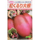 【 紅くるり大根 】 大根 種 大根の種 種子 ダイコン 赤い大根 短形大根 短い大根 松永種苗
