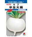 【 早生大蕪 】 蕪 種 種子 カブ かぶ 大蕪 大カブ タキイ種苗