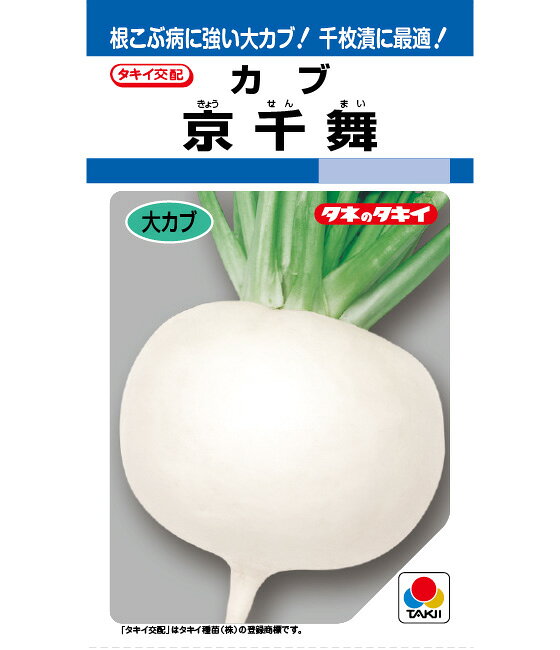  蕪 種 種子 カブ かぶ 大蕪 大カブ タキイ種苗