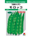 【 モロッコ 】 つるありインゲン インゲン 菜豆 インゲン豆 いんげん豆 種 たね タネ 平莢 タキイ種苗