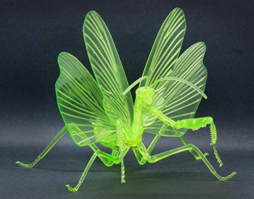 フジミ模型 自由研究シリーズNo.23 EX-2 いきもの編 オオカマキリ （クリアーグリーン） 自由研究-23 EX-2 送料無料