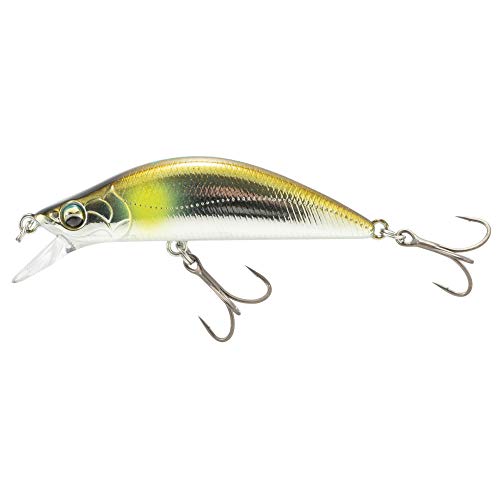 ᥸㡼ե 륢 եơ ǥ(ߡե) 50mm å #07 EDN-50S 륢 ̵