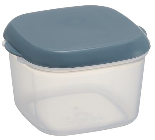 スケーター(Skater) 抗菌 2WAY 保存 容器 リバーサル 1050ml 電子レンジ対応 食洗機対応 日本製 アッシュブルー P 送料無料