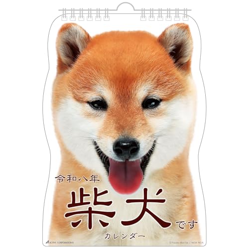 アクティブコーポレーション 2026 カレンダー 壁掛け 柴犬です 26ACL-65 2026年 1月始まり 送料無料
