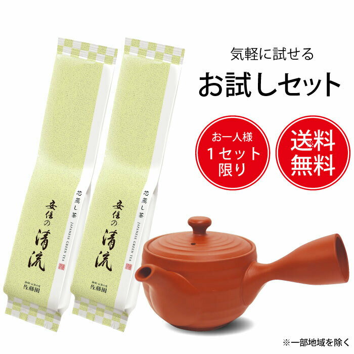お茶 日本茶 煎茶 茶葉 お試し 送料無料 急須 深蒸し茶 健康 カテキン おすすめお試しセット（安倍の清流100g 2本＋でるでる急須「朱泥」）のサムネイル