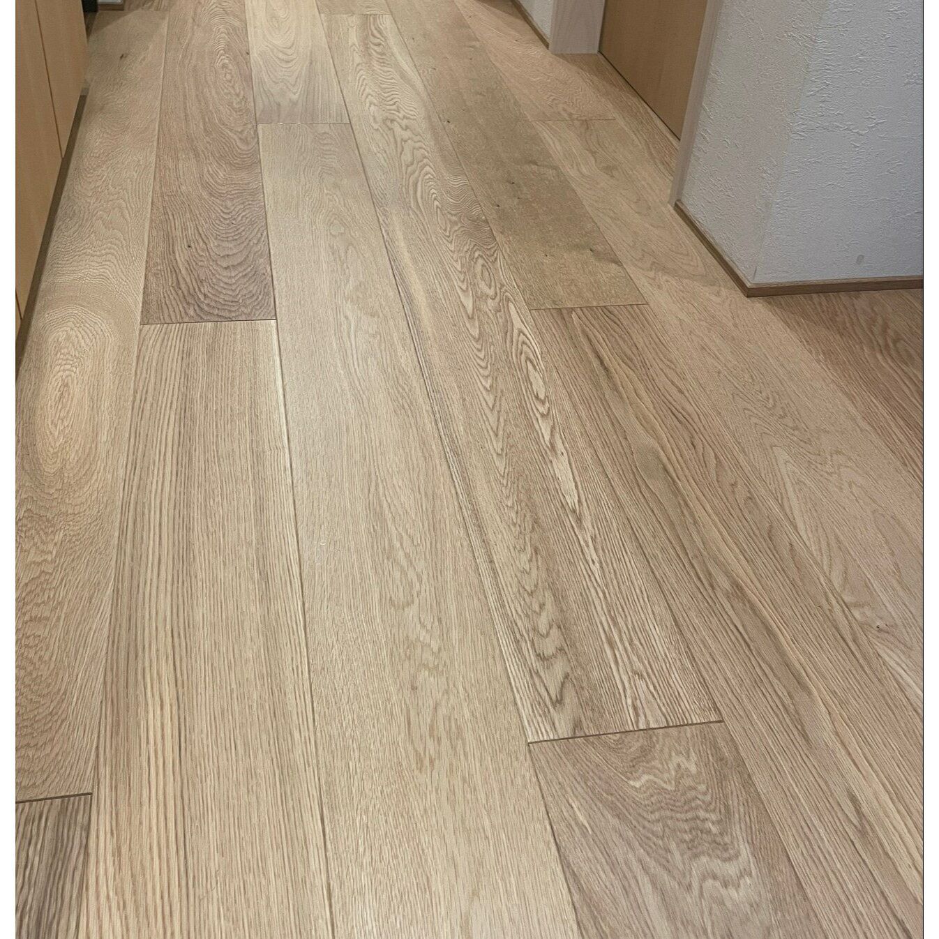 åɥ㤨֡2?3ȯġʣե󥰡ۥ磻ȥࡡ150 ʤ ʪ  ŷ DIY ĺ ں   Υ١ ޥ󥷥 ͷ  Ǽ פβǤʤ16,690ߤˤʤޤ