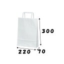 【ケース販売】紙手提げ袋 H平227 晒 200枚 幅220×マチ70×高さ300mm