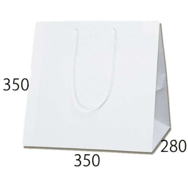 紙袋　アレンジバッグ　M　白　10枚【紙袋 マチ広 手提げ袋 手提げ紙袋 手提げ袋 手提げ 花材】