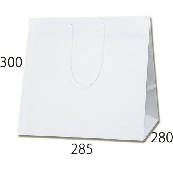 紙袋　アレンジバッグ　S　白　10枚【手提げ袋　手提げ紙袋　手提げ袋　手提げ　マチ広　花材】