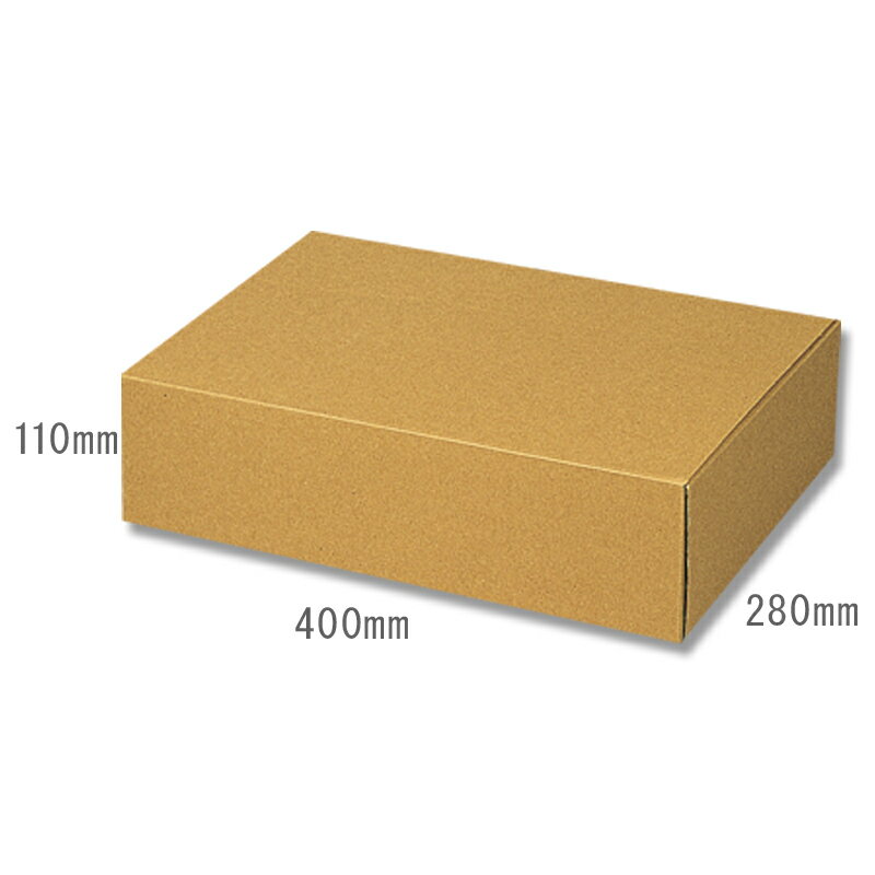 箱 ナチュラルボックス Z-9 10枚 (内寸 縦280×横400×高さ110mm)【ギフトボックス ナチュラル 未晒】