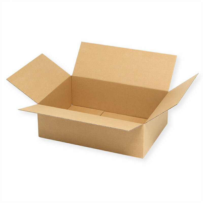 ダンボール　A4用　高さ100mm　スリムタイプ　無地　20枚　宅配80サイズ【ダンボール　発送　梱包】