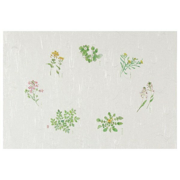 テーブルマット　Tタイプ　T-102　春の七草　100枚