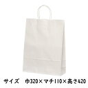 【ケース販売】紙袋　手提げ　HZ　晒無地（白無地）　幅320×マチ110×高さ420mm　200枚入【業務用 紙袋 手提げ 手提げ袋 手提げ紙袋 ラッピングバック】