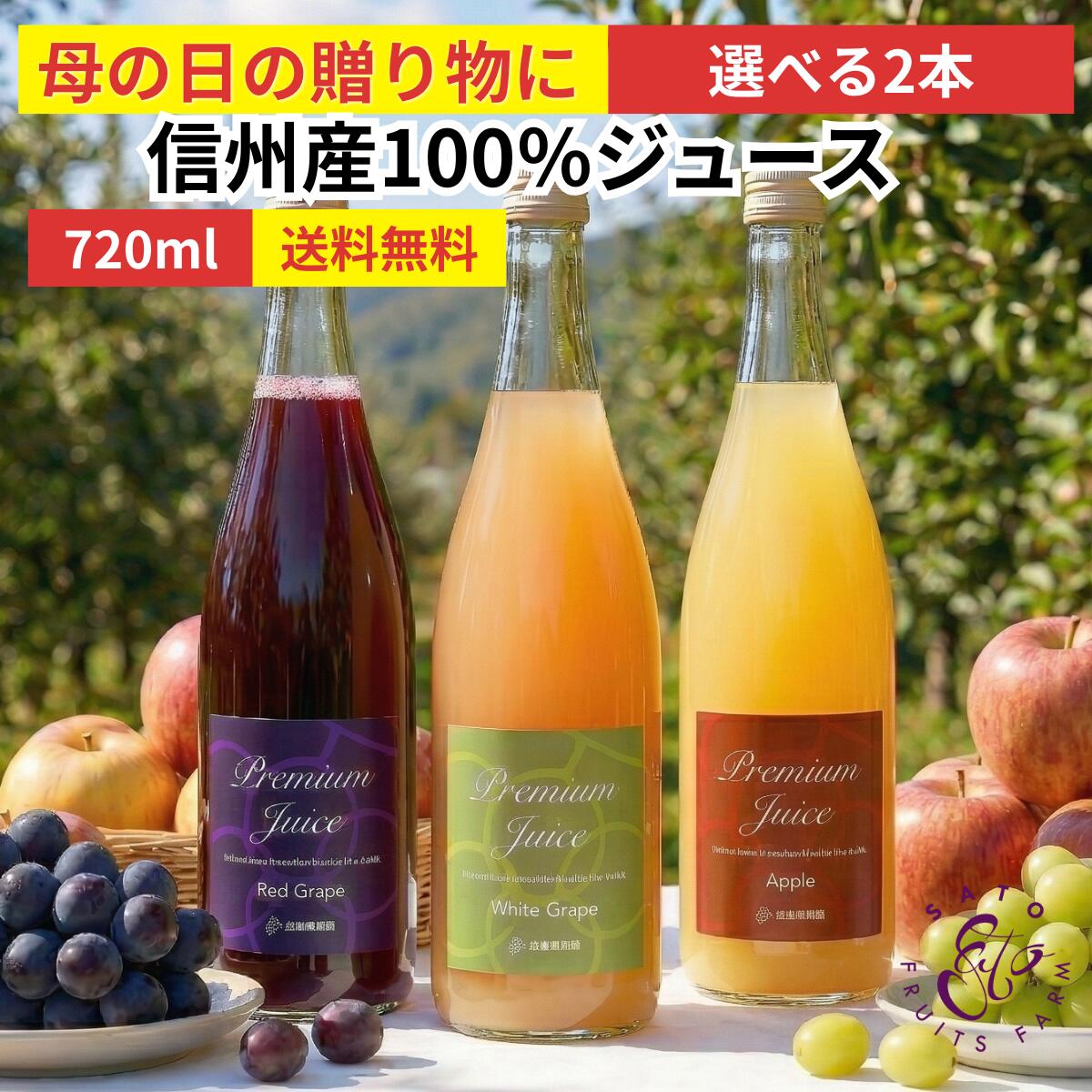 ぶどうジュース りんごジュース ギフト 2本 セット 【 赤 ・ 白 選べる 】 信州 高山村産 プレミアム ストレート 100% 濃厚 ノンアルコールワイン 完熟 ふじ 【 送料無料 】 内祝い 出産 お返し お祝い プレゼント お歳暮 お年賀 2026 長野県産 リンゴジュース