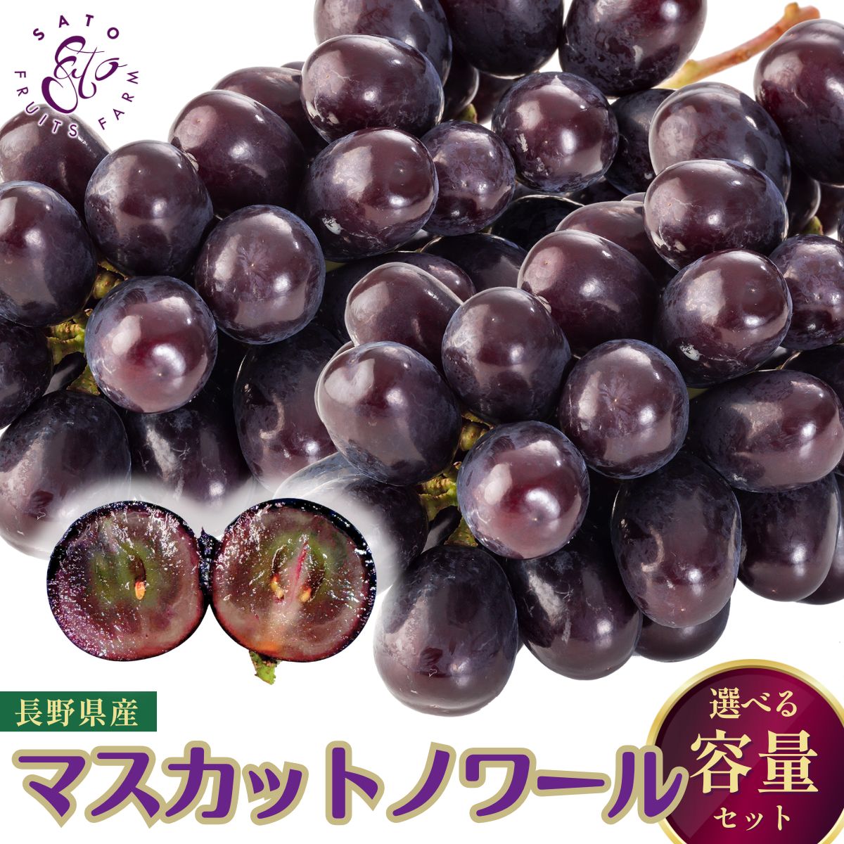 マスカットノワール（房・粒タイプ） 長野県産 高級ぶどう 種なし 皮ごとOK ギフト プレゼント 内祝い フルーツ 送料無料【10月下旬以降発送】
