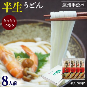 半生 うどん 遠州手延べ麺 約8人前 めんつゆ付 お得な4袋セット 1.04kg(260g×4袋) いなさの郷 ギフト 贈答用 お中元 お歳暮 母の日 贈りもの 半なま 【産地直送】【送料無料】