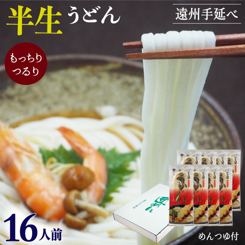 半生 うどん 遠州手延べ麺 約16人前 めんつゆ付 お得な8袋セット 2.08kg(260g×8袋) いなさの郷 ギフト ぎふと お中元 お歳暮 母の日 贈りもの 半なま ウドン