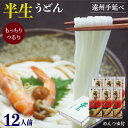 手延べ半生うどん 遠州手延べ麺 約12人前 めんつゆ付 お得な6袋セット 2.08kg(260g×6袋) いなさの郷 ギフト ぎふと お中元 お歳暮 母の日 贈...
