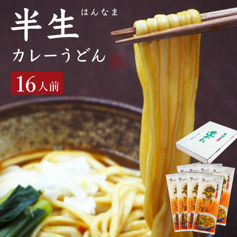 うどん（お中元向き） 手延べ半生カレーうどん 遠州 手延べ麺 半生麺 約16人前 1.6kg(200g×8袋) スープ付 お得な8袋セット いなさの郷 ギフト ぎふと お中元 お歳暮 母の日 贈りもの 半なま うどん ウドン 産地直送】