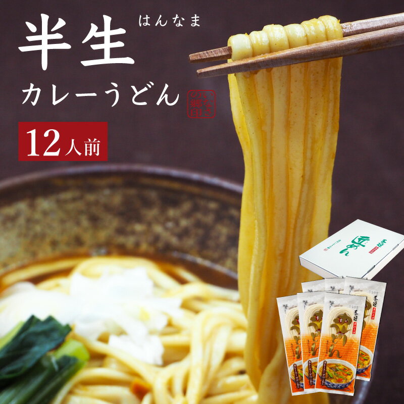 うどん 手延べ半生カレーうどん 遠州 手延べ麺 半生麺 約16人前 1.2kg(200g×6袋) スープ付 お得な6袋セット いなさの郷 ギフト ぎふと お中元 お歳暮 母の日 贈りもの 半なま うどん ウドン 産地直送】