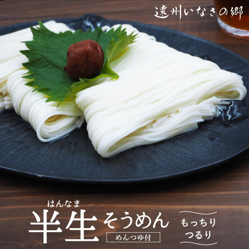 樂天商城 - [夏季限定] 手延べ半生 そうめん 遠州手延べ麺 めんつゆ付 お得なセット 半生麺 いなさの郷 ギフト 贈答用 お中元 お歳暮 母の日 贈りもの 【産地直送】【送料無料】