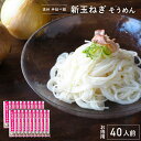 [数量限定] 手延べ 新玉ねぎ そうめん 遠州手延べ麺 約40食分 4kg 200g 20袋 大容量 ケース売り 箱売り 素麺 ソウメン 【産地直送】