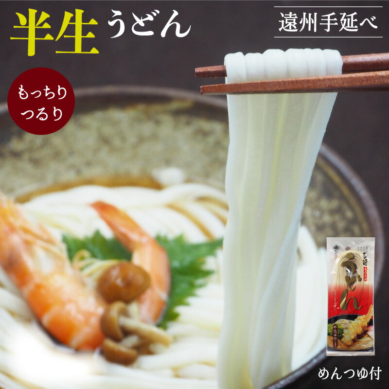 半生 うどん 遠州手延べ麺 めんつゆ付 お得なセット いなさの郷 ギフト 贈答用 お中元 お歳暮 母の日 贈りもの 半なま 【産地直送】