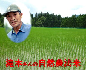 新米予約 滝本米 オリジナル 無農薬 玄米 5kg 令和6年産 新米 福井県産 送料無料 自然栽培 こしひかり 農薬・化学肥料不使用のお米 57年かけ作った滝本ふぁーむのお米は無農薬で安心なお米 無農薬 玄米 循環型自然農法米 無農薬米 【smtb-TD】