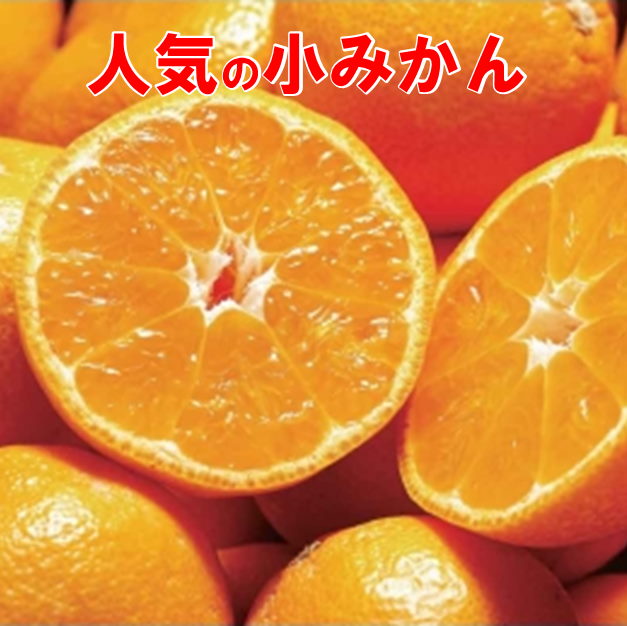 愛媛 みかん 小玉 人気の小みかん 5kg×2箱 送料無料 (小玉みかん)（S~3Sサイズ）西宇和みかんは愛媛みかんの中でも極上/【みかん】 愛媛 みかん/愛媛みかん お歳暮 /小粒 みかん/小玉みかん/みかん 愛媛/愛媛 ミカン 産地直送【smtb-TD】【saitama】