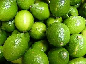 予約品 能勢さんの 無農薬レモン 3kg 【AB混合品】レモン 農薬・化学肥料不使用 レモン 送料無料 レモン ノーワックス レモン 自然豊かな島で育ったレモン 広島レモン 瀬戸田レモン 無農薬 レモン 国産 レモン レモン/しまなみ レモン れもん 【smtb-TD】【saitama】