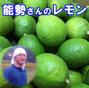 ご予約品 能勢さんの 無農薬レモン 3kg 広島県産 家庭用/訳あり レモン 農薬・化学肥料不使用 レモン 送料無料 青レモン 訳あり レモン 広島レモン 瀬戸田レモン レモン 無農薬 国産 レモン 訳あり/瀬戸内レモン/しまなみ レモン れもん 【smtb-TD】【saitama】