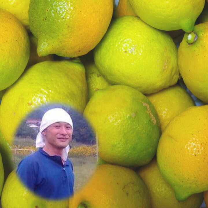 広島県瀬戸田産 無農薬レモン 10kg 家庭用/訳あり 国産 レモン 農薬 化学肥料 防腐剤 防カビ剤 不使用 レモン ノーワックス レモン 訳あり レモン 広...