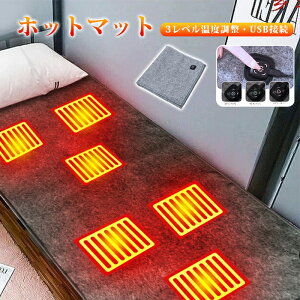 電気敷き毛布 シングル usb給電式 3段階温度切替 一人暮らし ヒーター 暖かめ ホットブランケット 加熱 小動物対応 寒さ対策 洗える