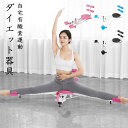 4in1多機能 フィットネスボード 腹筋マシン トレーニング 腹筋マシーン ダイエット器具 筋トレ 体幹強化トレーニング 滑り止め 静音性 折りたたみと収納 ホ...
