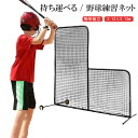 【楽天ブラックフライデー〜★5倍!11/27まで】野球練習ネット バッティングネット ピッチングネット 打撃 投球 ボール受けネット バッティングティー付 収納...