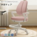 <3000円割引限定>限定3000円分の特別クーポンを発行中!学習椅子 姿勢矯正 デュアルバック バックトラッキング高さ調節 ガス昇降式 キャスター 肘掛、足置...