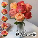 母の日 永生花 プレゼントドライフラワー 枯れない花 花瓶+花セット 卓上 きれい 花瓶 飾り 母の日 お花 プリザーブドフラワー 敬老の日 造花 花材 水入れ...