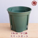 【送料無料】スリットポット18cm・6号鉢 EU-18 カネヤ産業 兼弥※北海道・沖縄・離島は送料別途計算