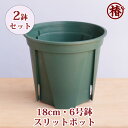 【送料無料】2鉢セット スリットポット18cm・6号鉢 EU-18 カネヤ産業 兼弥※北海道・沖縄・離島は送料別途計算