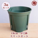 【送料無料】3鉢セット スリットポット18cm・6号鉢 EU-18 カネヤ産業 兼弥※北海道・沖縄・離島は送料別途計算