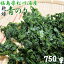 【福島県松川浦産 青のり 750g(250g×3袋) 業務用 チャック付き】 産直 あおさ あおさのり アオサ 海苔 海藻 新物 ヒトエグサ ひとえぐさ 味噌汁 みそしる お味噌汁 おみそしる ラーメン ラーメンの具 スープ 朝だ!生です旅サラダ 12,400円