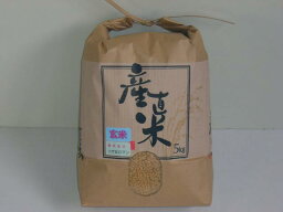 農家直送こだわりの「はれわたり」　玄米5kg　（令和5年産）