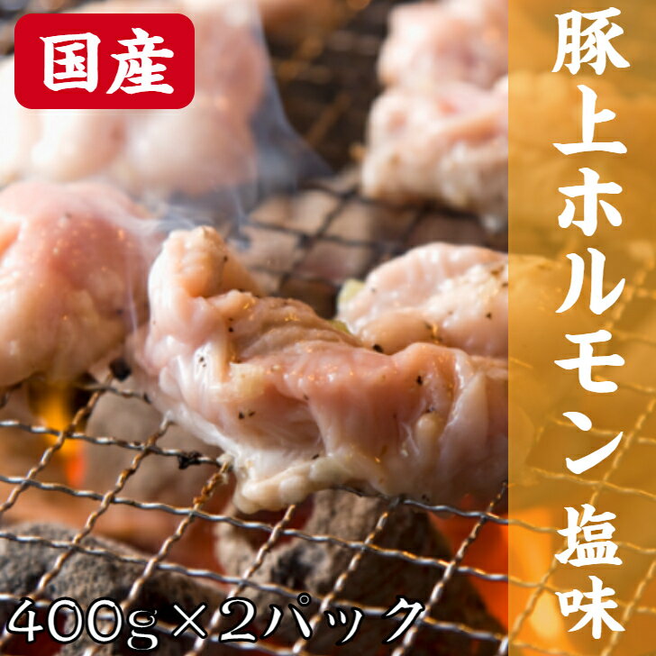 楽天さとう精肉店　楽天市場店＼全品MAX30％OFFクーポン！20日まで／国産 豚 上ホルモン 塩ダレ 400g×2（800g） | ホルモン 焼肉 豚ホルモン 焼肉用 味付き もつ もつ焼き たれ ホルモン焼肉 豚肉 お取り寄せグルメ 仙台 御中元 お中元 ミックスホルモン お中元 お歳暮 贈り物 ギフト プレゼント