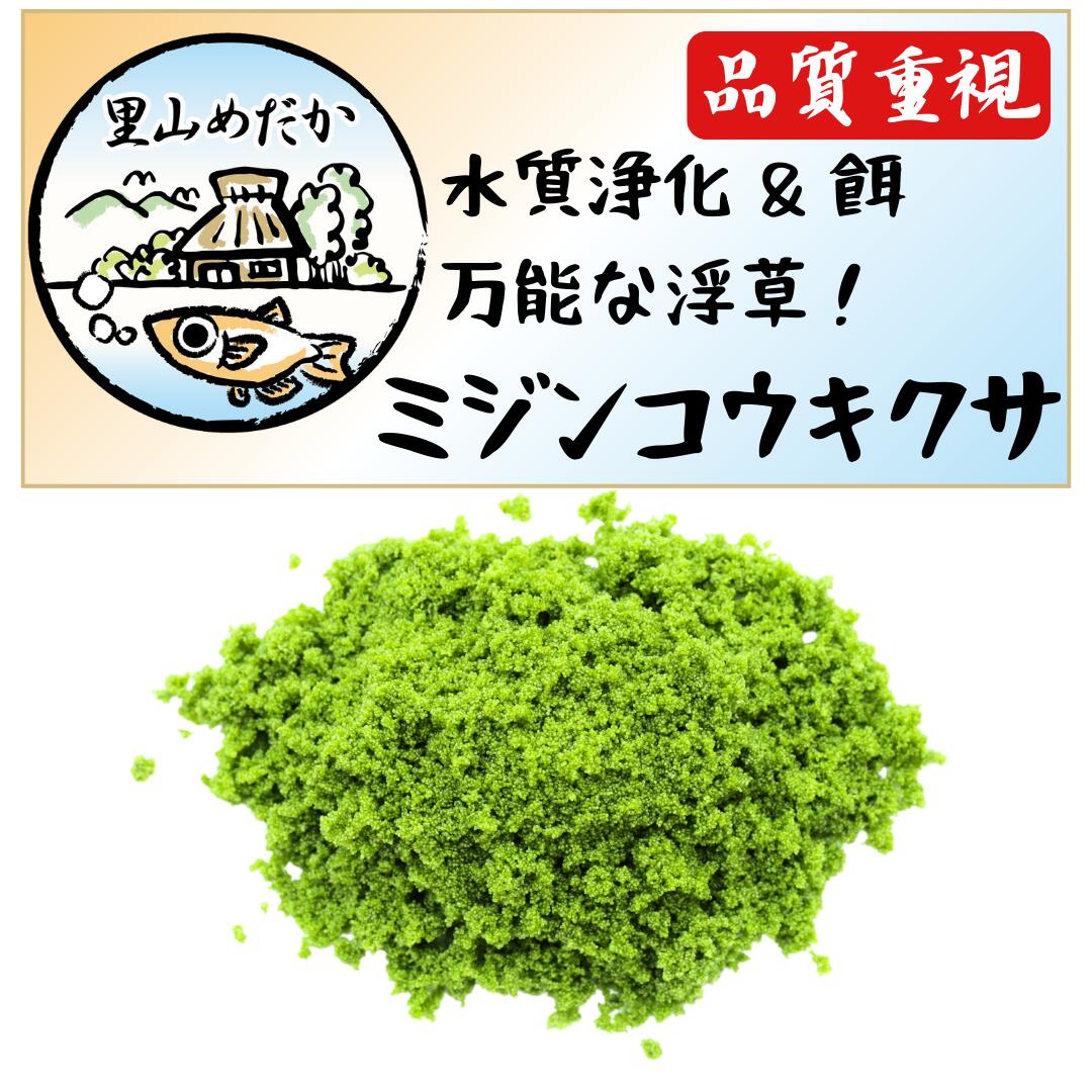 ミジンコウキクサ 150ml 苔取りヒメタニシ めだか メダカ アクアリウム 熱帯魚 金魚 ベタ タ