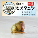 苔取りヒメタニシ